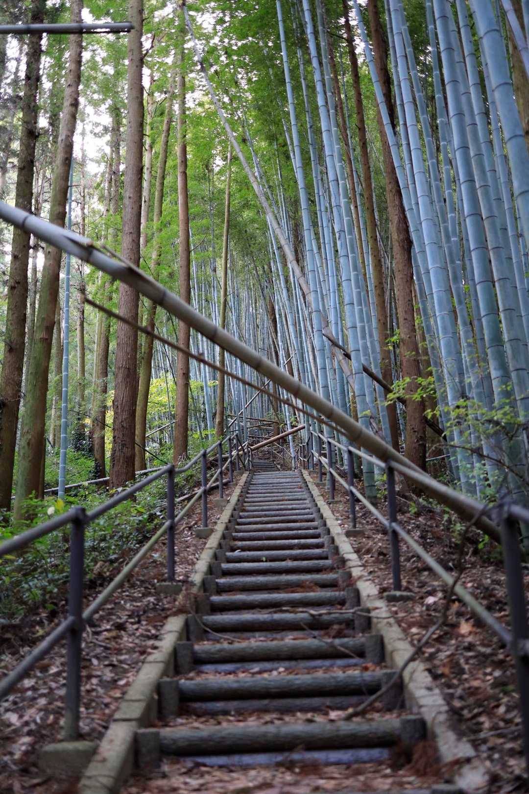 また階段😵‍💫