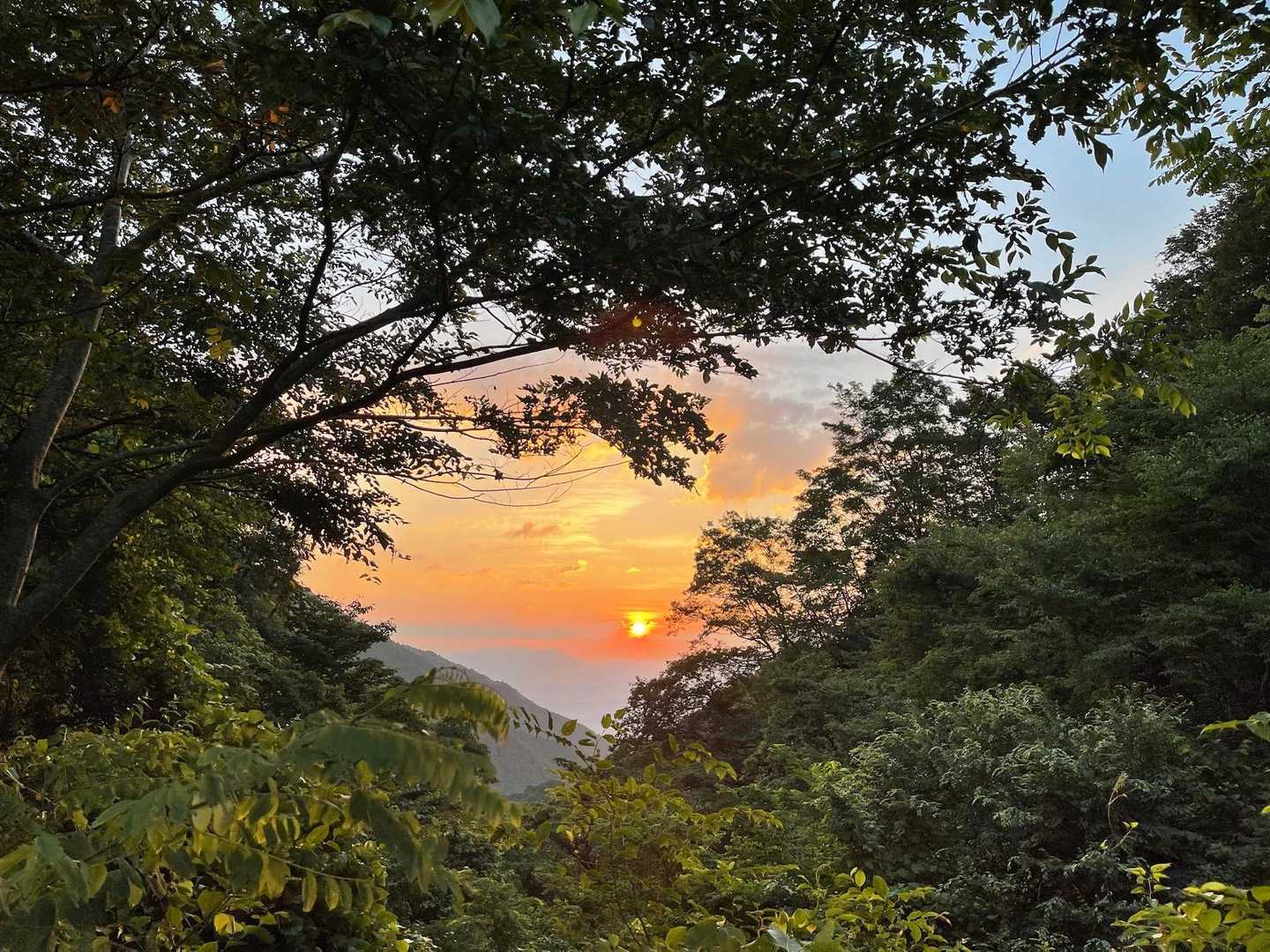 めっちゃ綺麗な朝日🌅やった😊