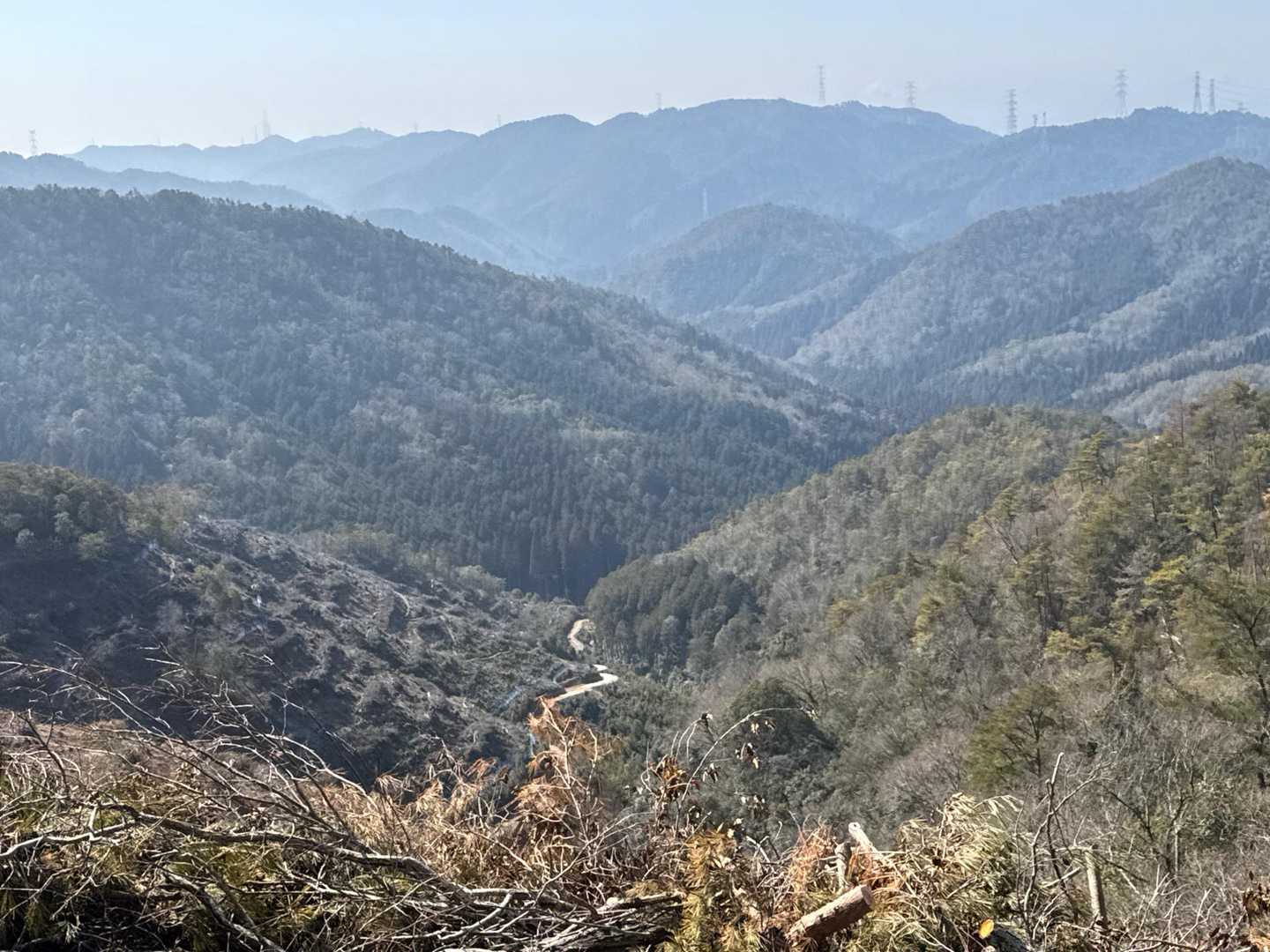 朝日山 往復コースの写真