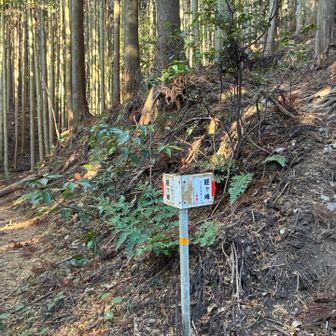 左の平尾ルートで登ります