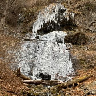 橋の所から見上げるとこんな感じ(^^)
見事です！！