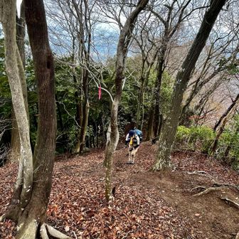 今日の一座目、高取山までが1番キツかった〜💦

ここでしーちゃんが「今日のコース、最後まで歩けるかわからない🥲」と弱音を吐きます🤮

とりあえず「行けるところまで行ってみよ😉」と軽くあしらう😈

だって…