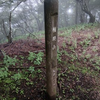 権現山　蛭だらけ