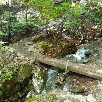 登山道