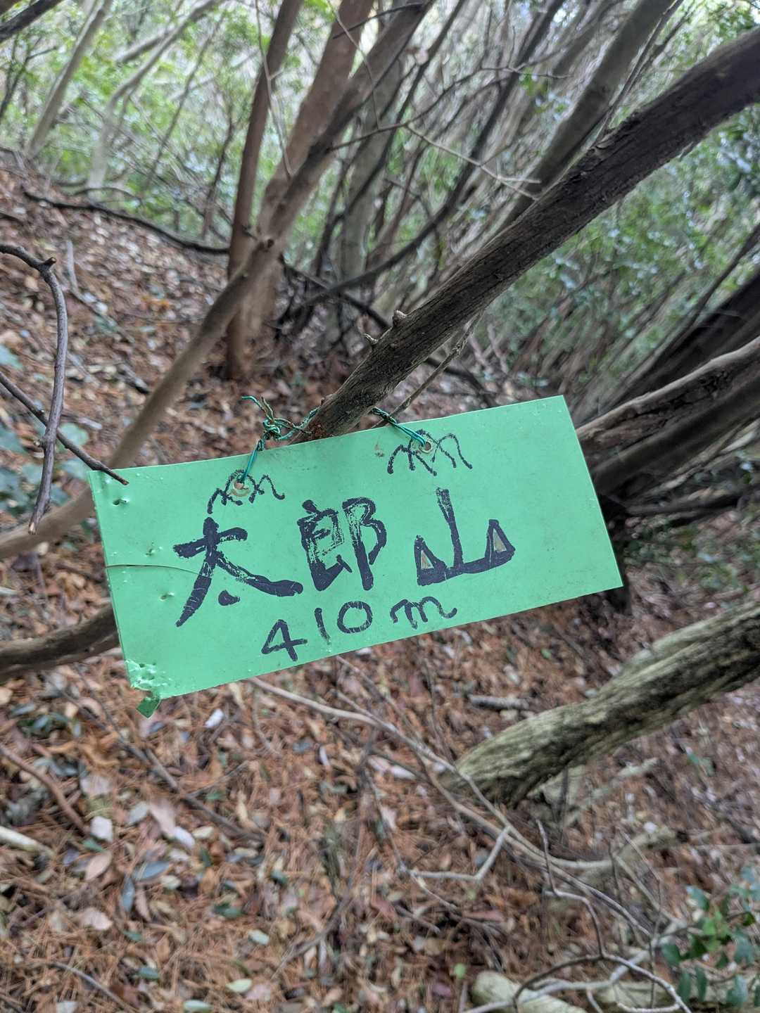 太郎山山頂です