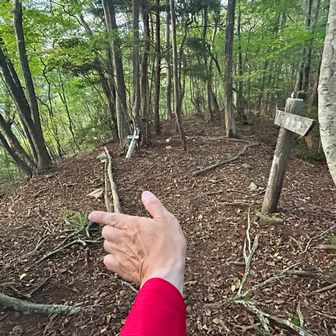 分岐点👈