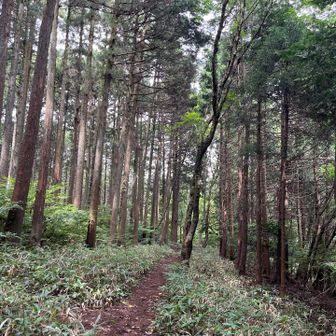 大垂水峠から小仏城山へ向かっています