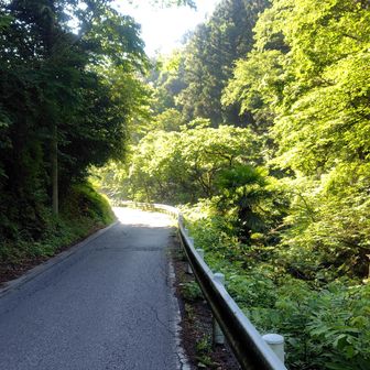 しばらく車道を緩やかに下る