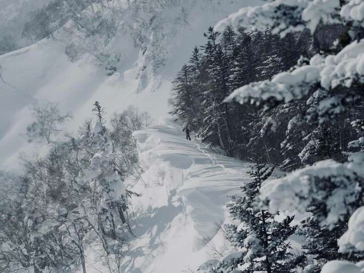 タケノコ山（北海道） | YAMAP / ヤマップ
