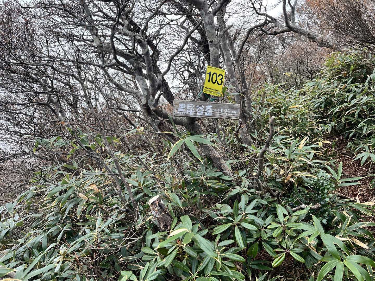 黒尾谷岳-南月山 往復コースの写真