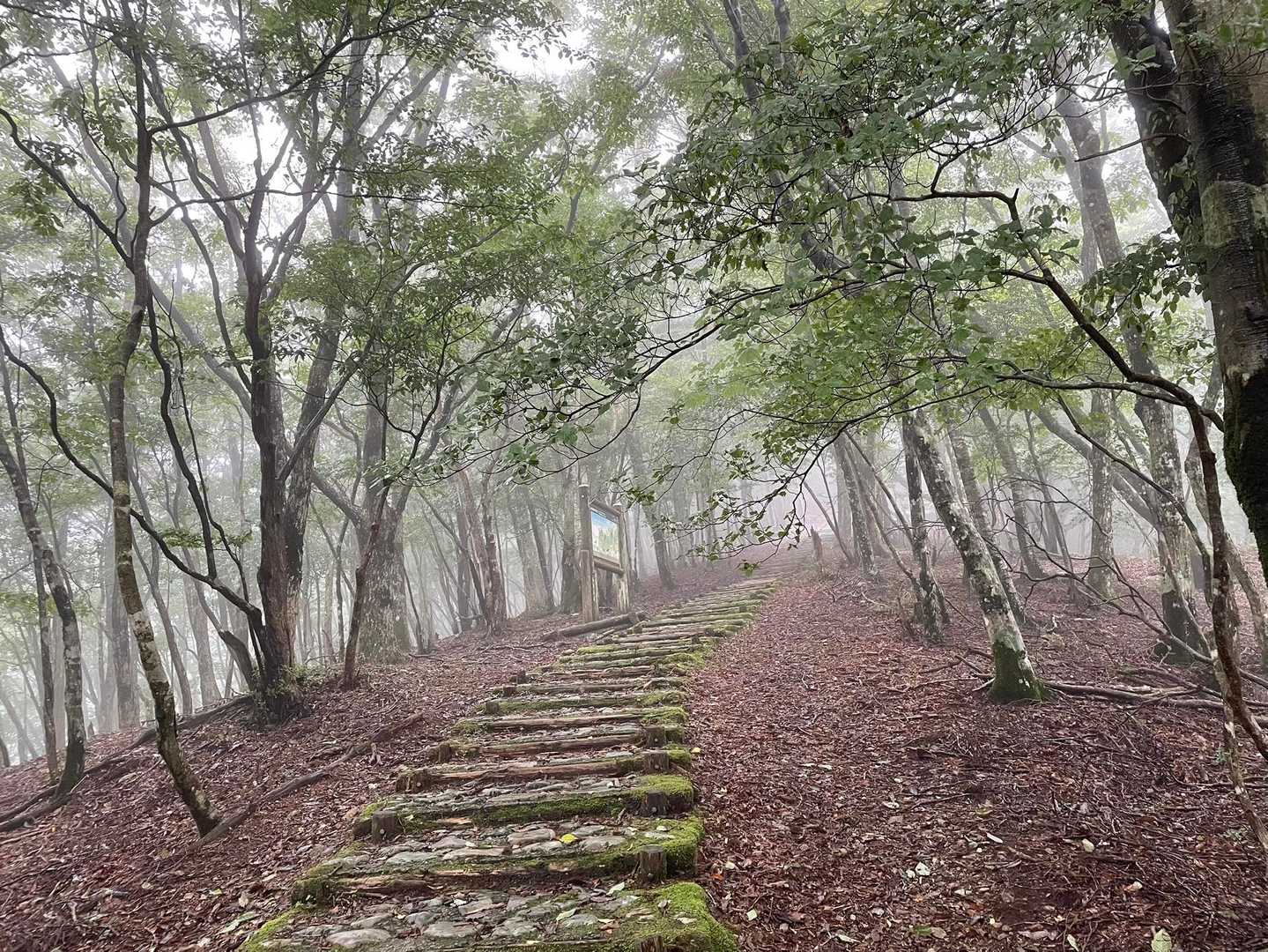 
整備された道