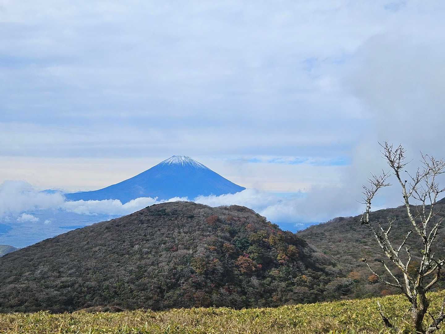 富士山🗻