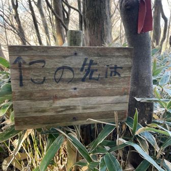 この先は、、、？