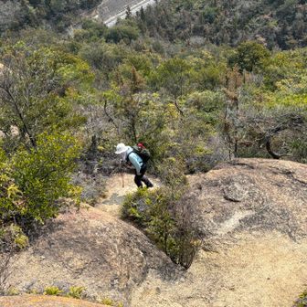 駐車場に戻り国道を渡ってみやま公園へ