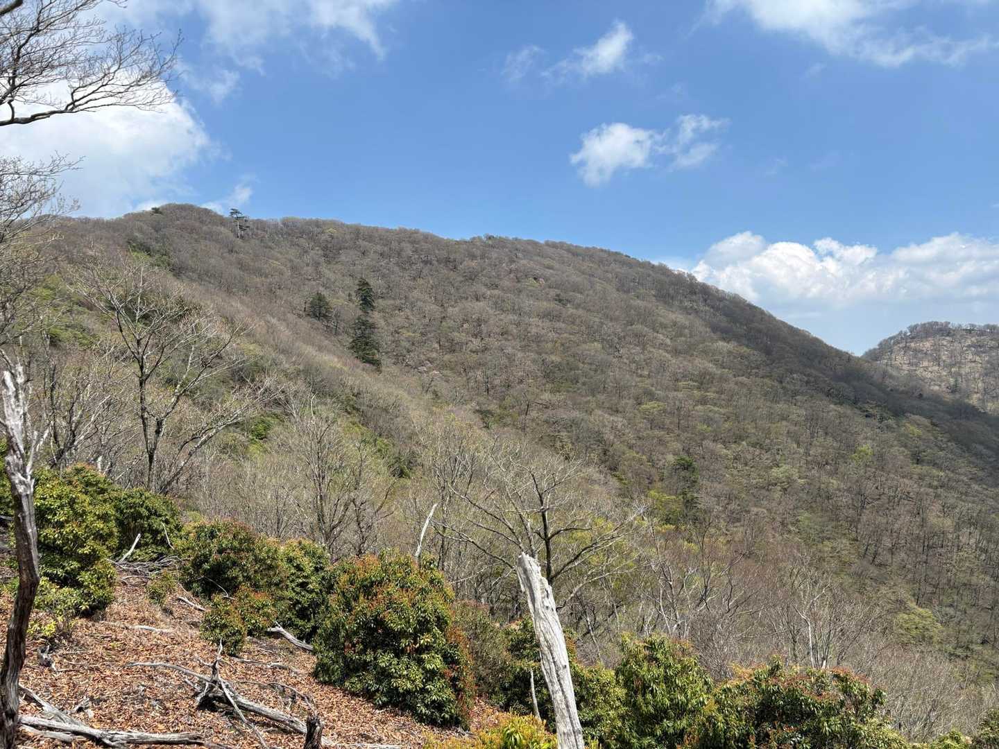 宇土内谷登山口-大崩山 往復コースの写真