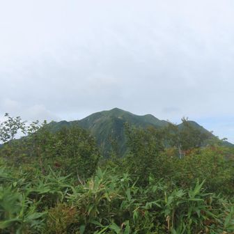よく登った自分を褒めてあげたいわ🤗