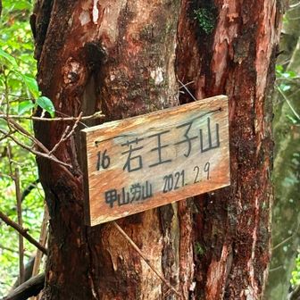 若い王子様は おらんかったー
