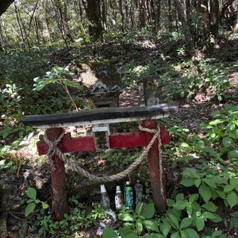 山頂⁈と思って地図みてもここでは無く少し奥の方みたいで…
でも山頂標識無かったです。