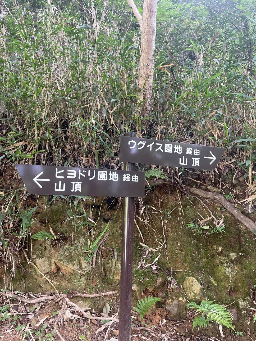 憩いの森入口-鈴ヶ峰-鈴ヶ峰 往復コースの写真