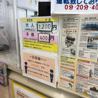 ええ値段やなぁと思ってしまい歩いて下山と思ったけど、ここからの下りは獣道っぽかったのでロープウェイ使うことに