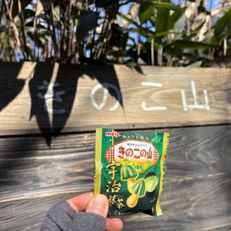 7座目、きのこ山

「machanさんがきのこ山」に持ってきてくださったのは、「 matcha味のきのこの山」

さすがです！