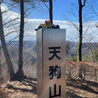 山頂、風が強過ぎてポプテ立てられない。プッチが汚れ過ぎたので帰ったらオキシに漬けました。
距離があまりないのでペースをあげたらゼーゼーハァハァ、やっぱり早くは上れない。