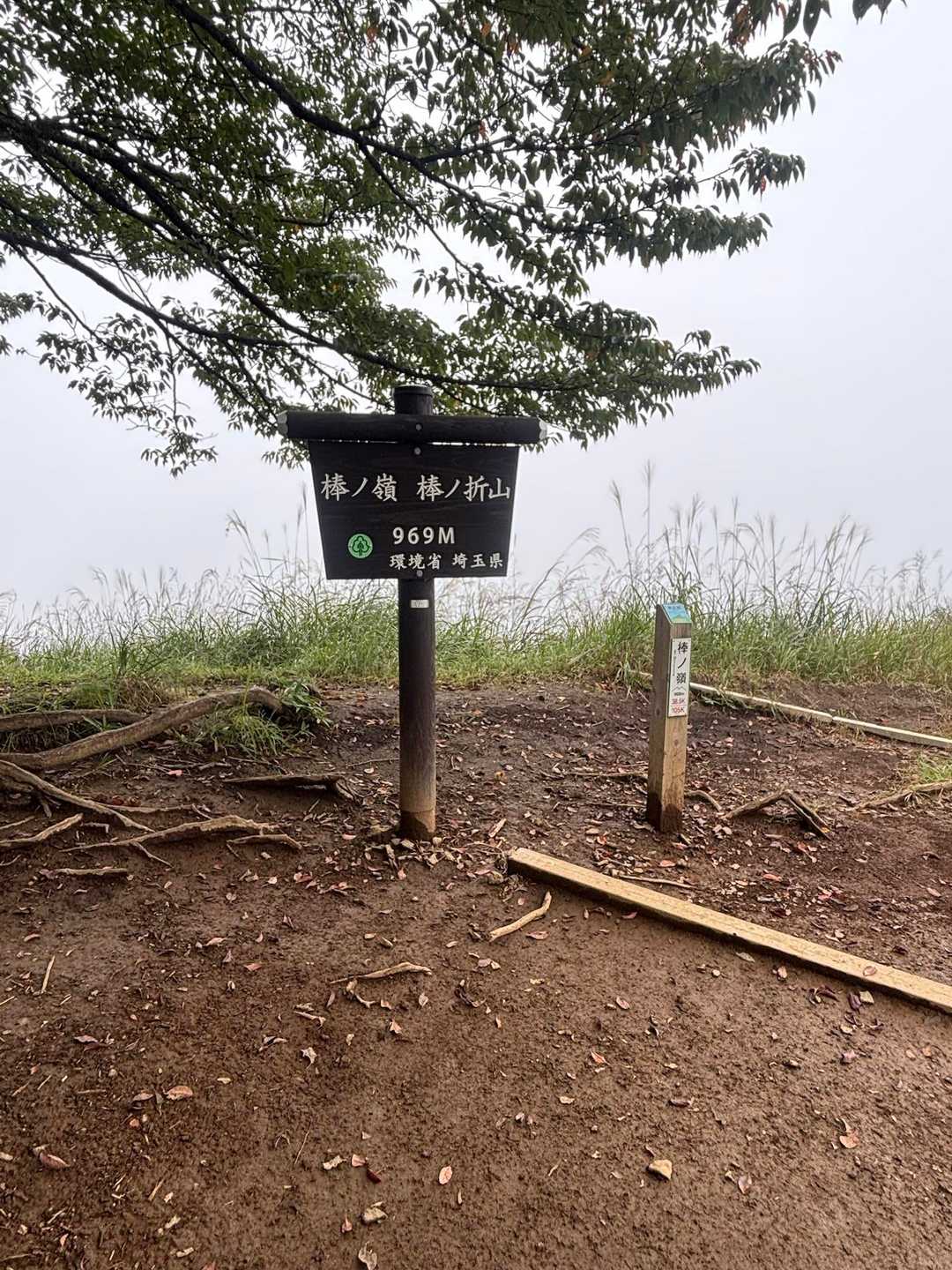 棒ノ折山山頂到着