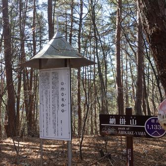 山頂に着きました。思っていたより登りはへこたれました。