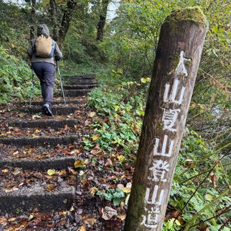 夏山登山道スタート