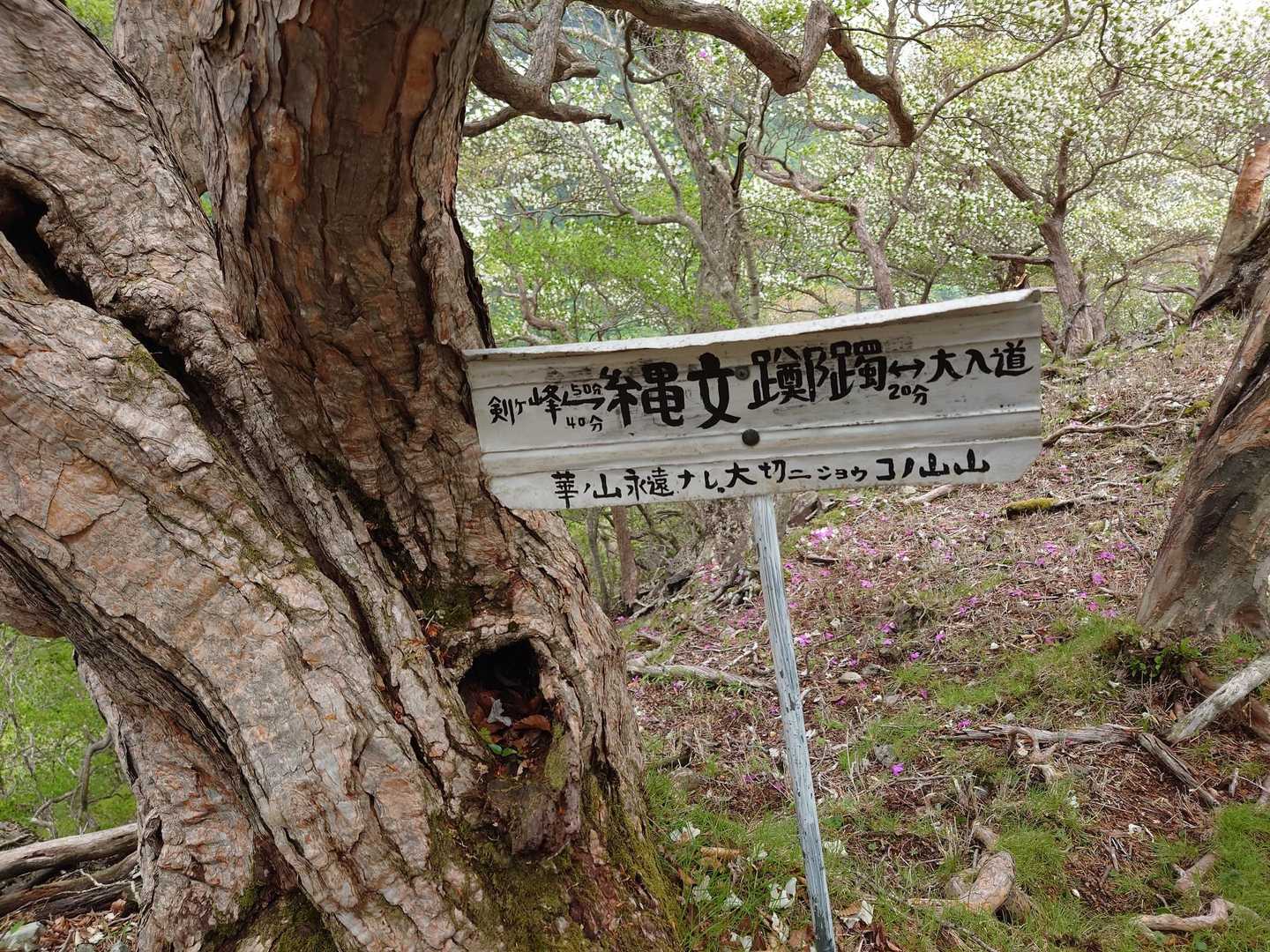 大入道-剣ヶ峰-八方ヶ原大間々台登山口 周回コースの写真