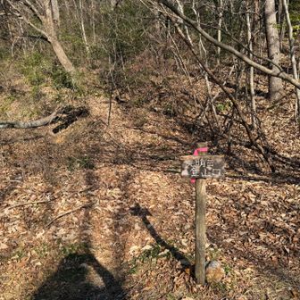 下りてきました！ここからは道路を歩いて帰りまーす