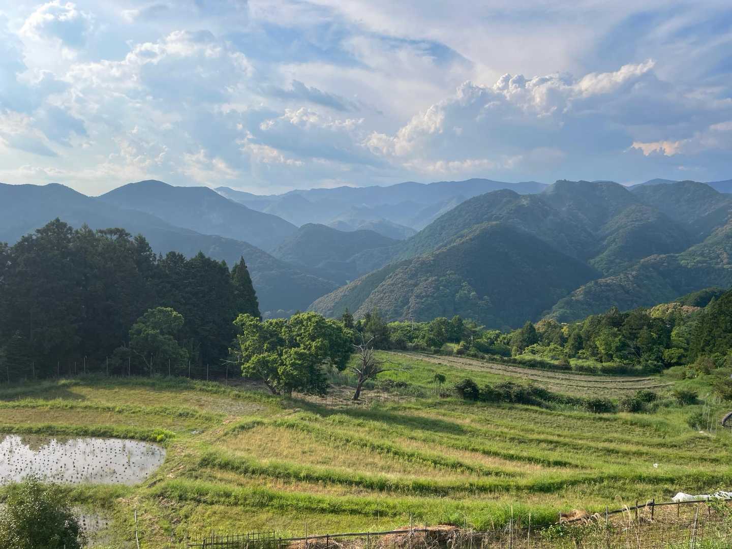 果無山脈の山並みと美しい棚田
美しい景色
そしてどこか懐かしい