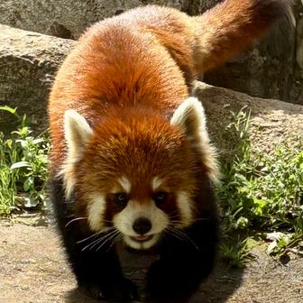 ユーザーまつこさん