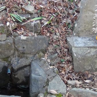 湧き水はチョロチョロ