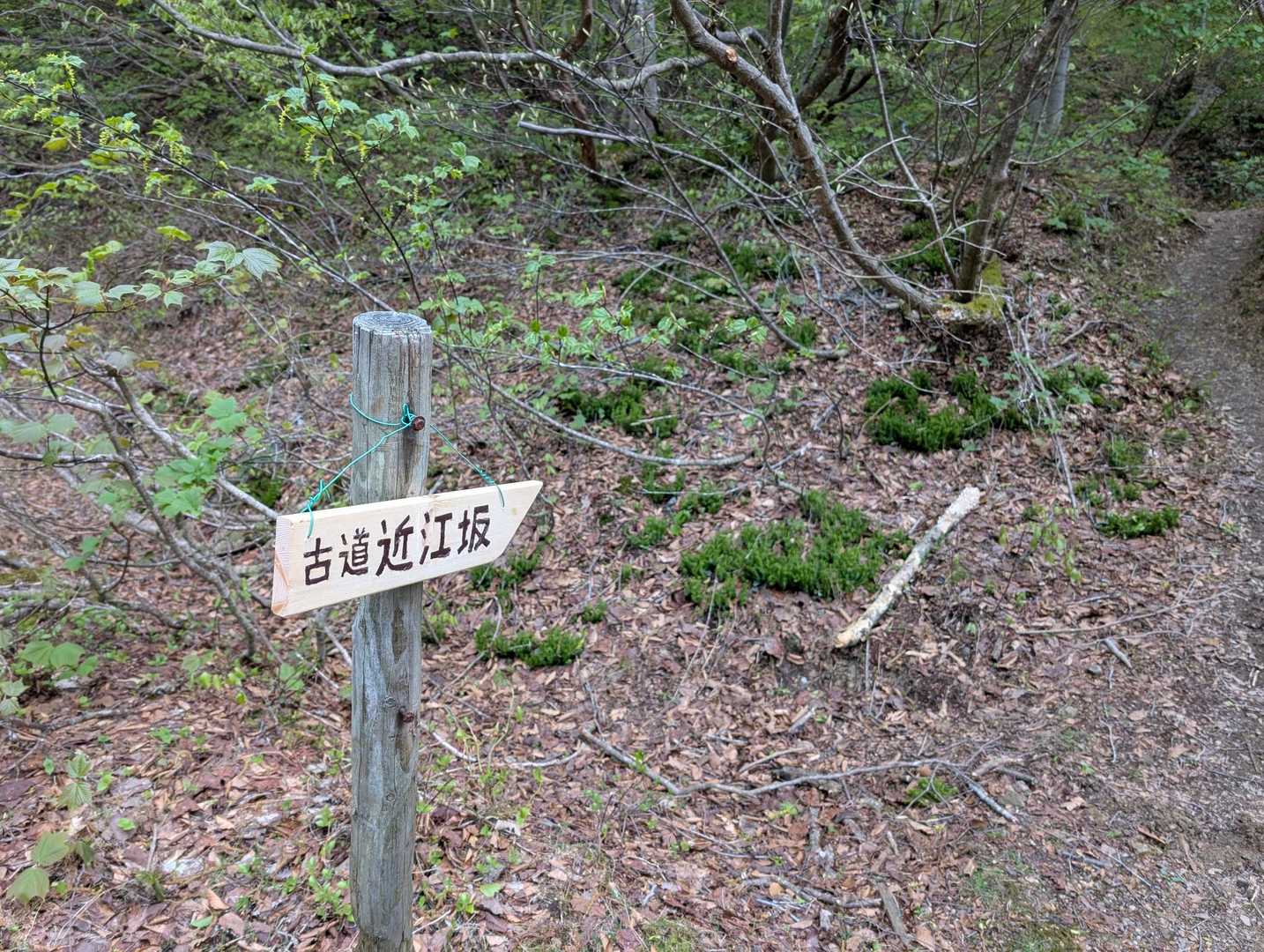 今回取り付けた標識