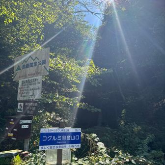 登る前に通り過ぎた登山口ですね(*^o^*)