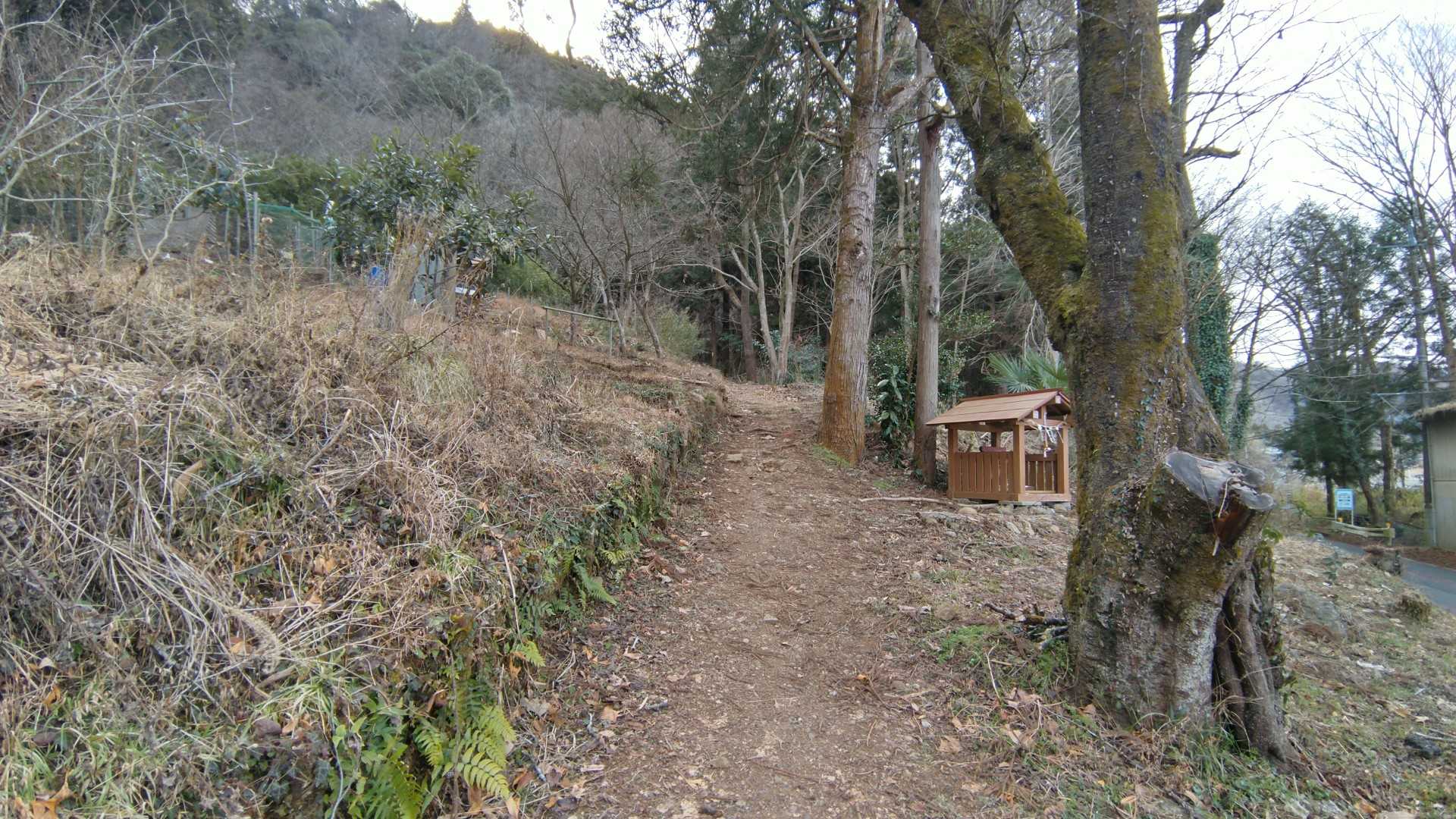 良い感じの道です。