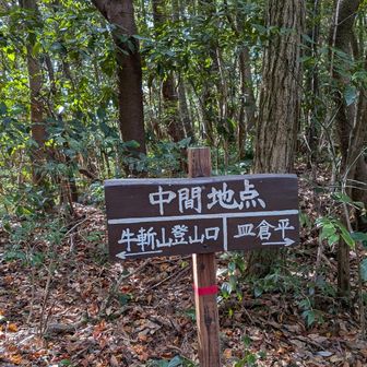 ようやく中間地点😭
折り返し
きつすぎる