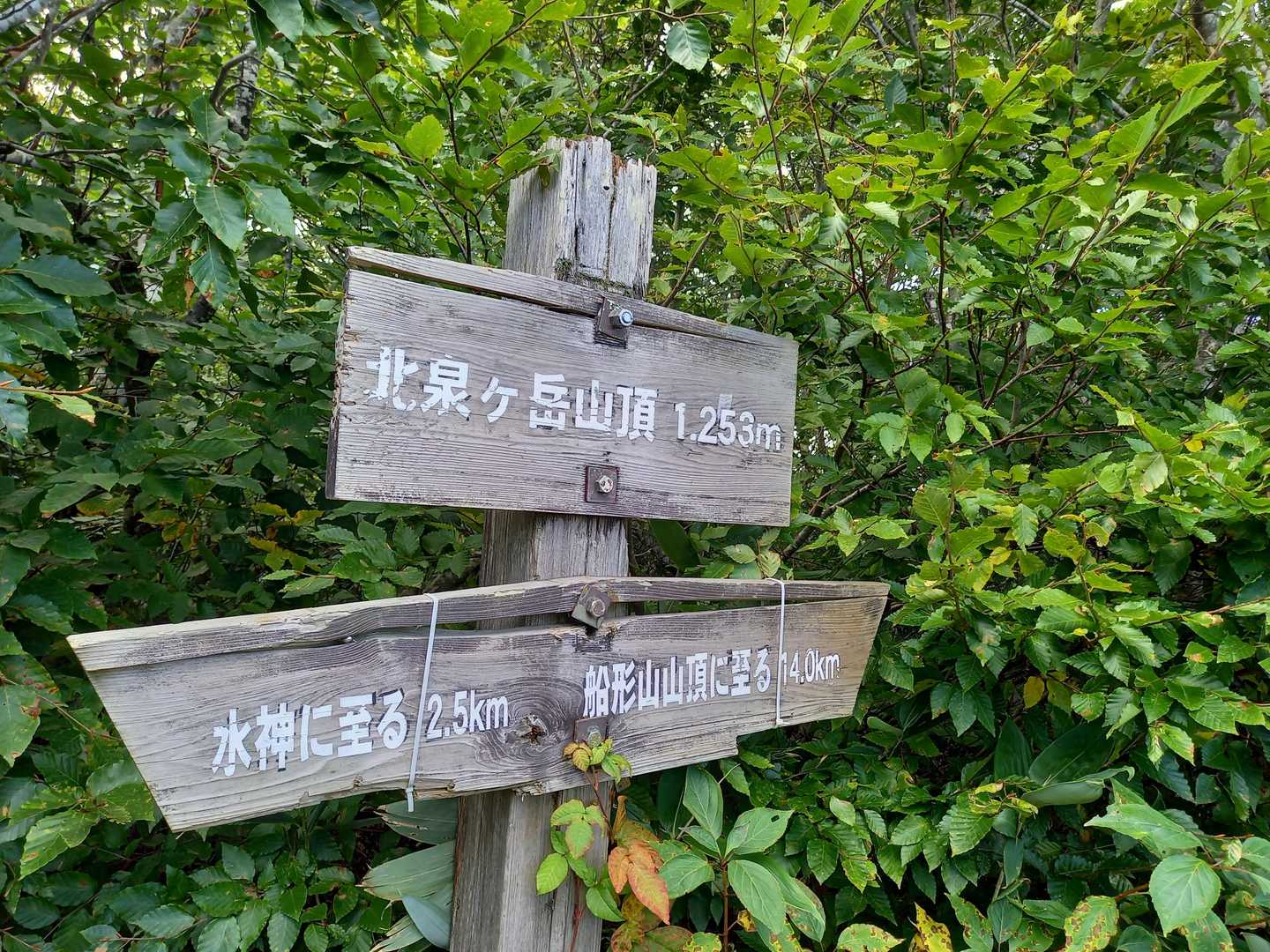 最後に少し急登して、北泉ヶ岳👌