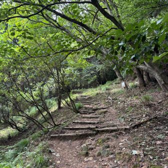 下市山の登山道
前回登った時は雪があってなかなか登りづらかった記憶があるけど雪がないと歩きやすいなー
(*´∇｀*)