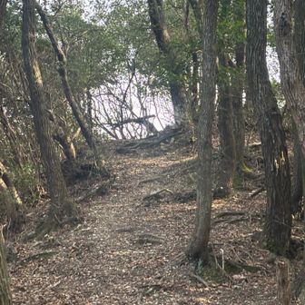 展望台まで行ってみます🚶‍♂️