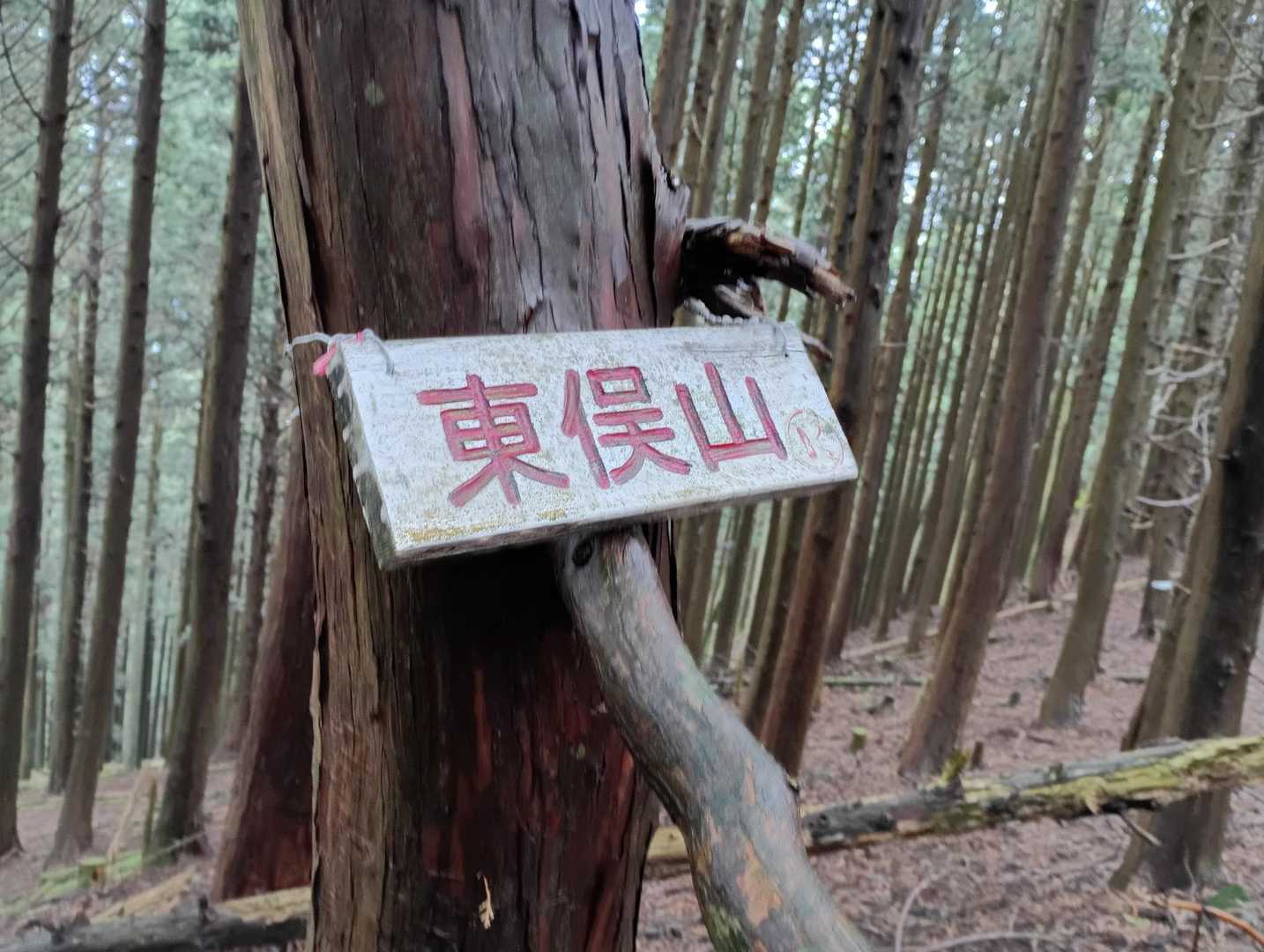 杉平バス停-笹峠-学能堂山-東俣山-白土山-コスマ峠 縦走コースの写真