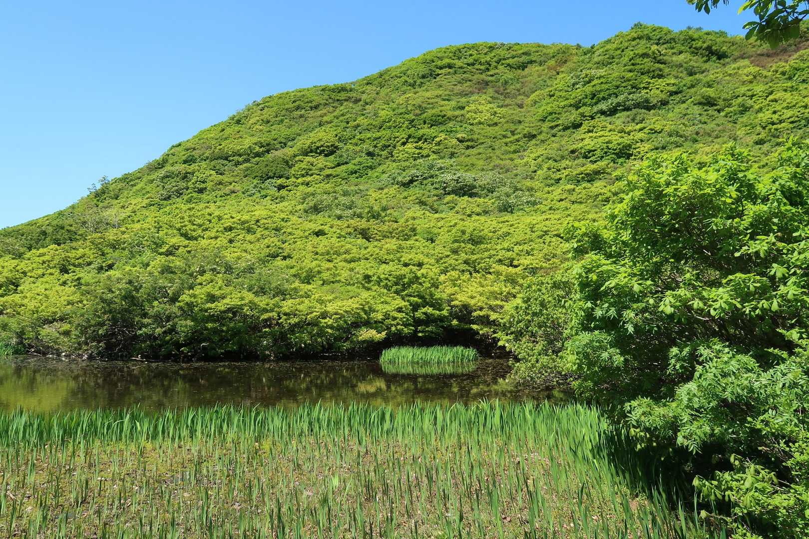 池