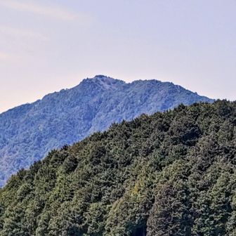 アップ🆙で
仙ヶ岳に登った際に周回コースで臼杵ヶ岳にも👍