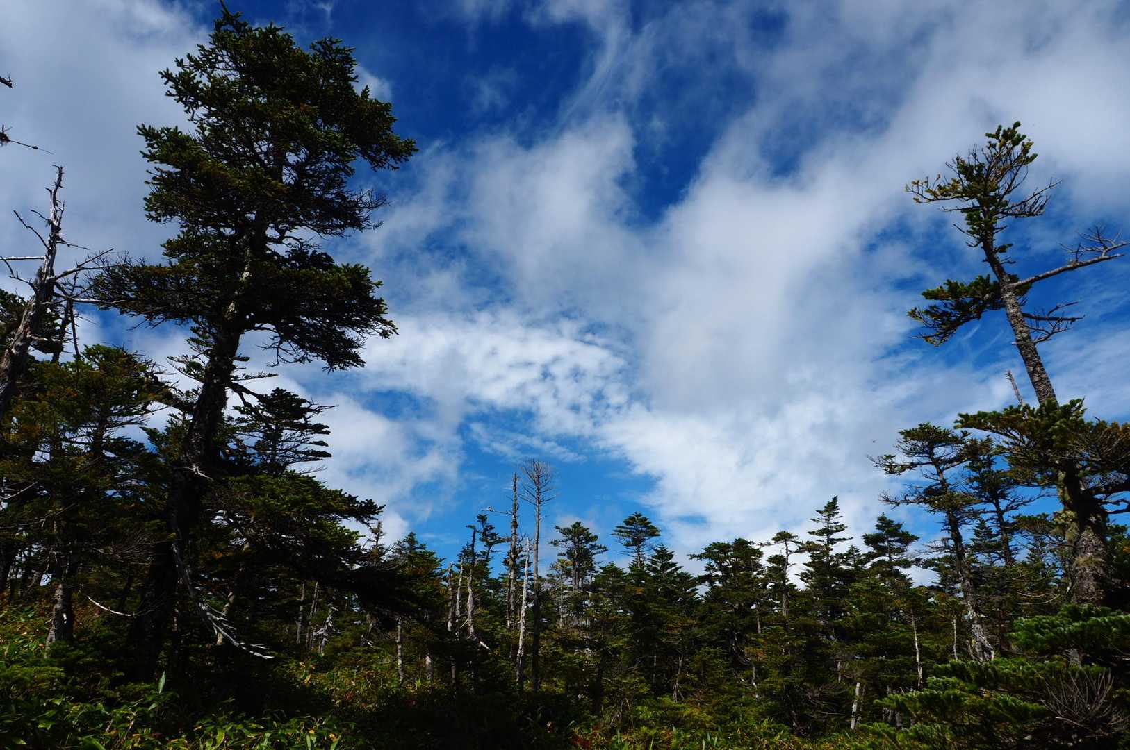 同じ場所でも日差しで変わるな、と。
