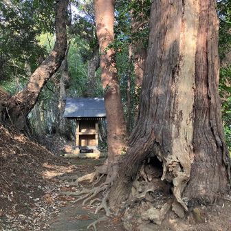 なぜかランドマークになっていますが、香取郡誌などに書かれる側高神社は大倉の方。房総山岳志で海上山と書かれる小山の山上にあります。