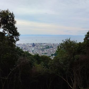 風強くなってきた