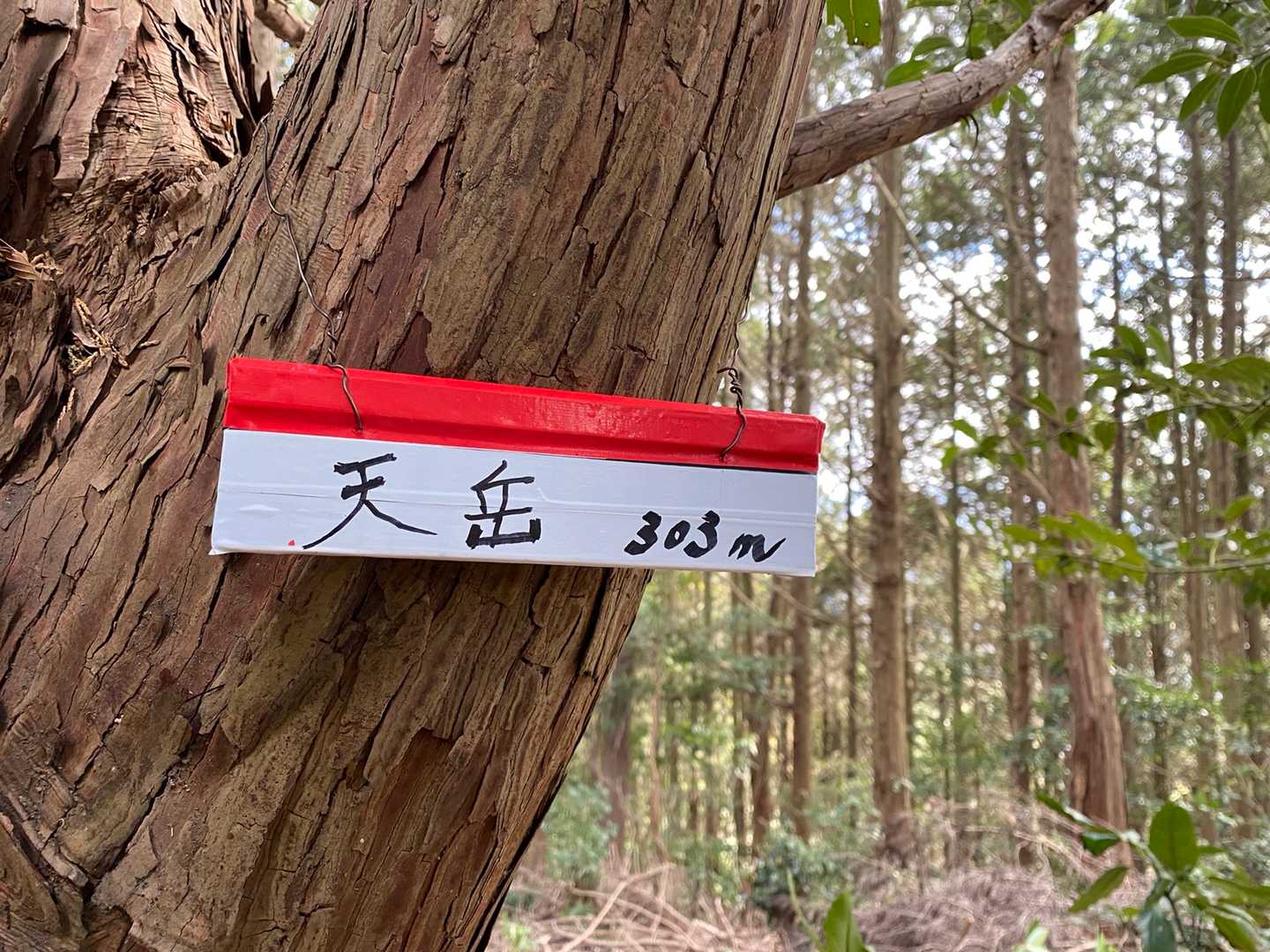 天岳の写真
