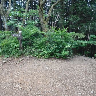 分岐を右に