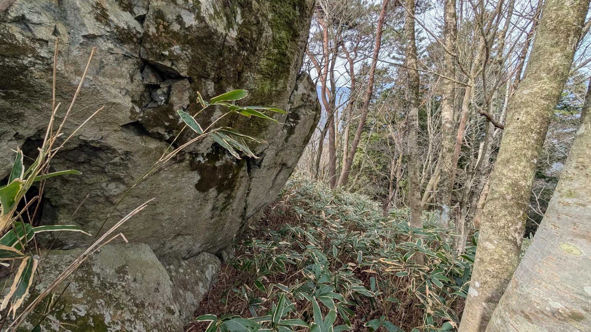 城将山 往復コースの写真
